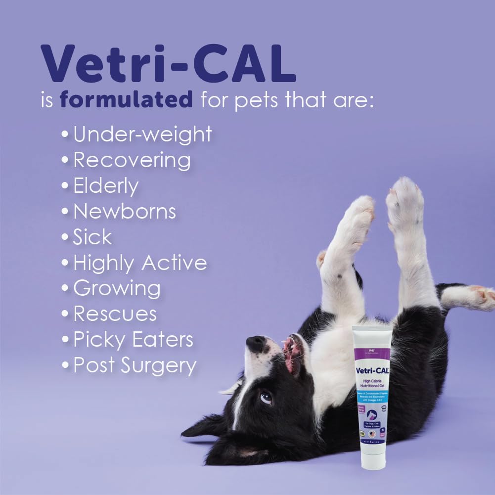 High Calorie Nutritional Gel for Dogs and Cats 5 oz M546
