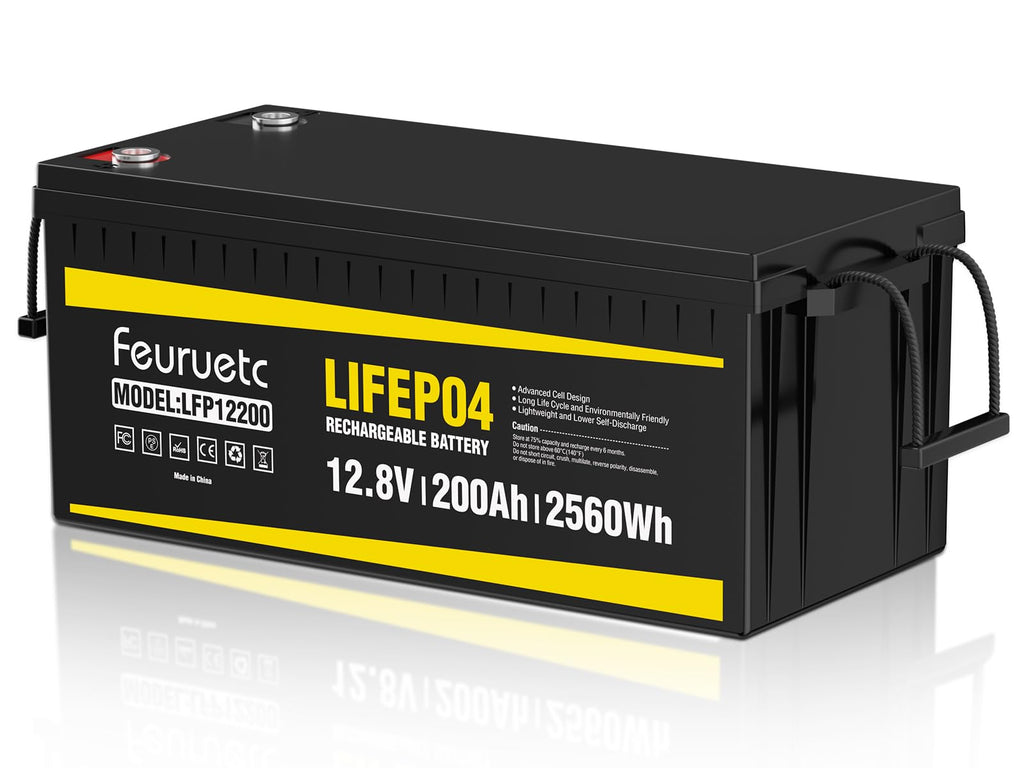 12V 200Ah LiFePO4 Deep Cycle Lithium Battery with 200A BMS L892