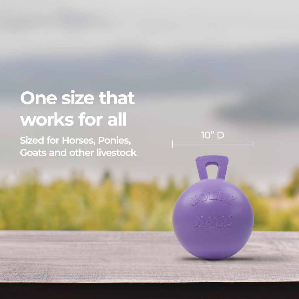 10 in Horse Toy Light Purple H49545