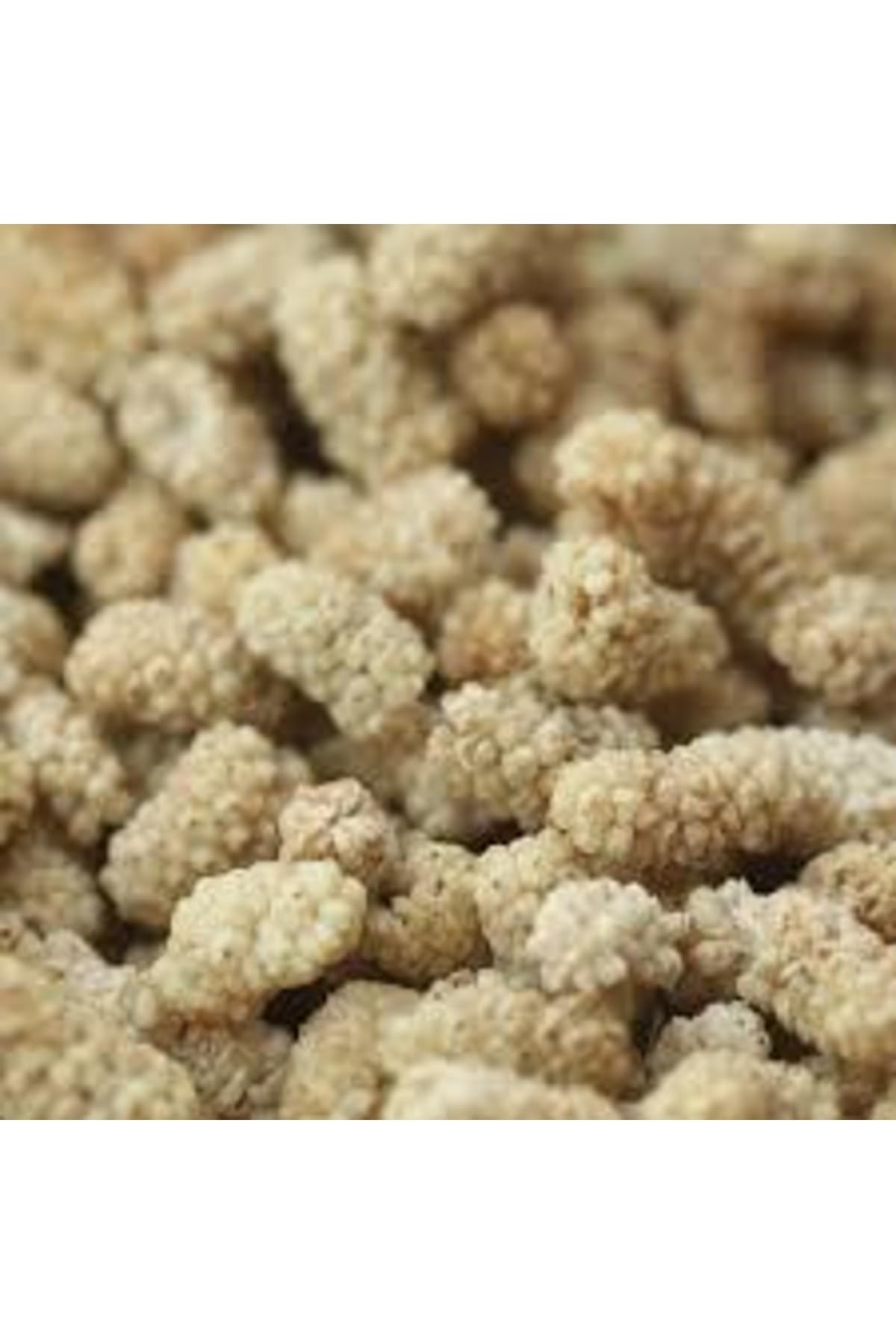 Dried White Mulberries 35.3 oz P46134