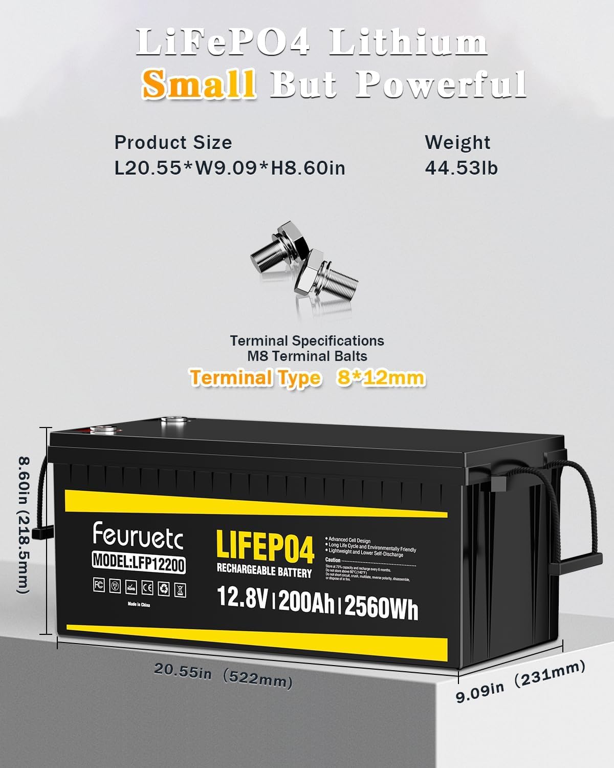 12V 200Ah LiFePO4 Deep Cycle Lithium Battery with 200A BMS L892