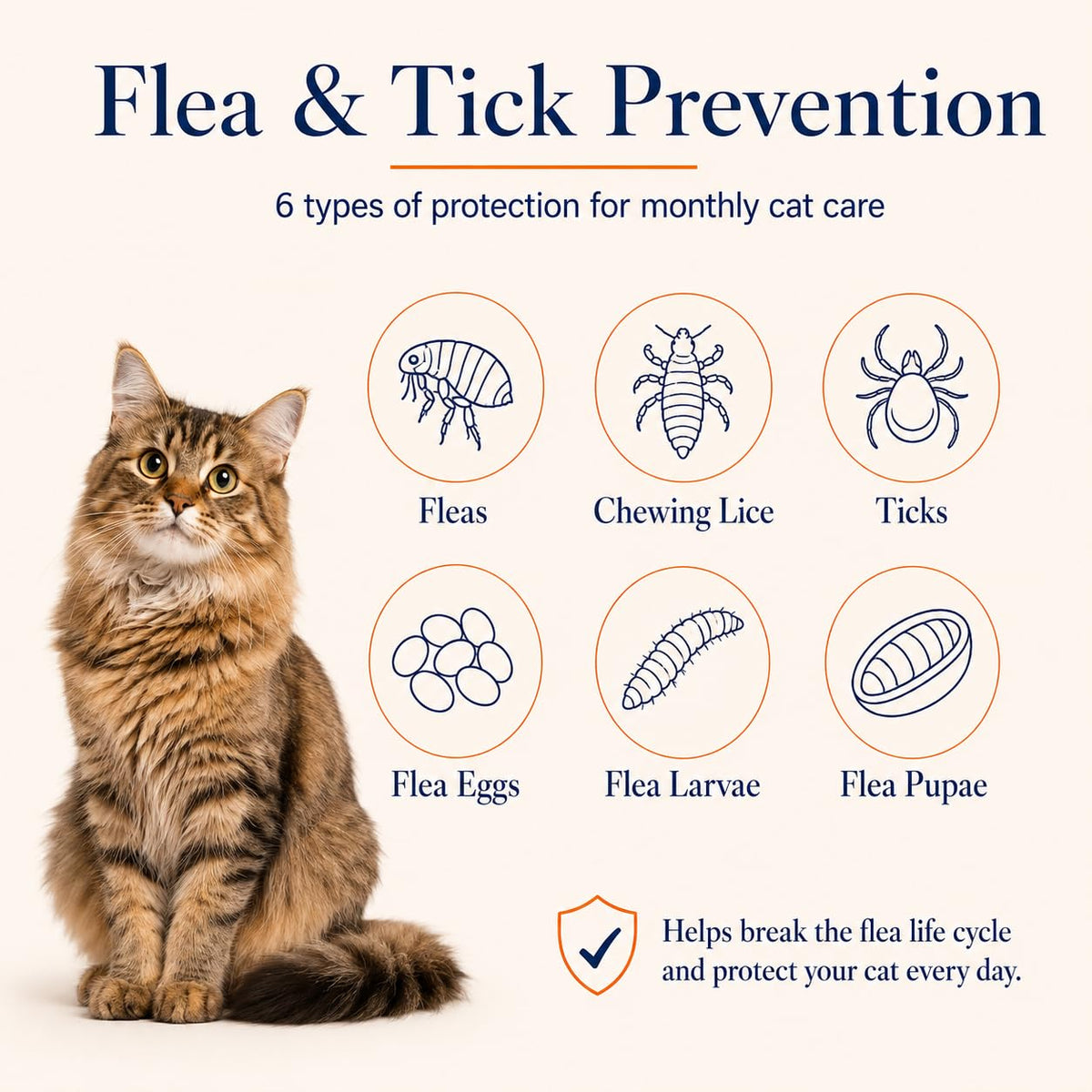Waterproof Topical Flea & Tick Preventative for Cats, 6 Doses D538