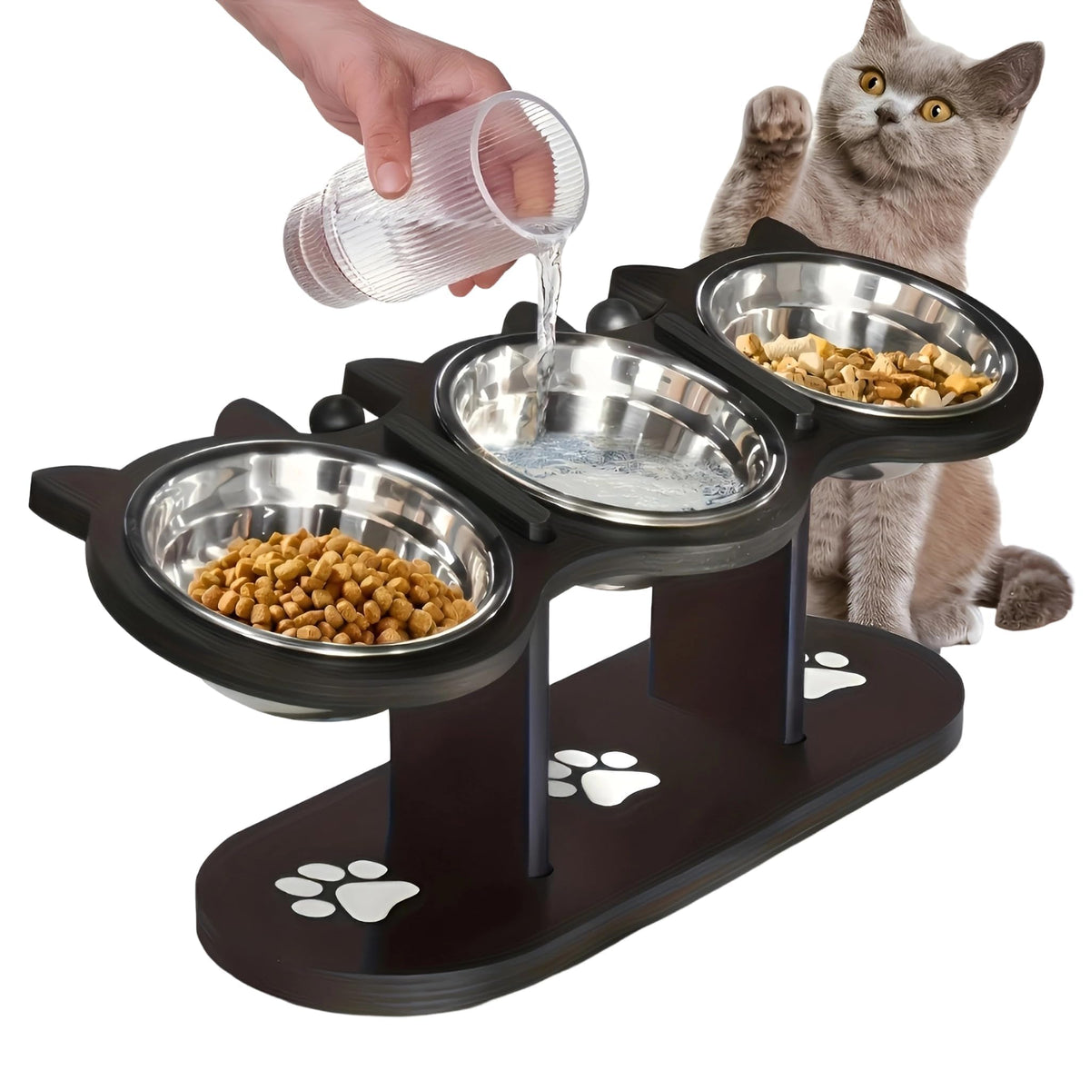 Raised Cat Bowls with 3 Stainless Steel Bowls W4373