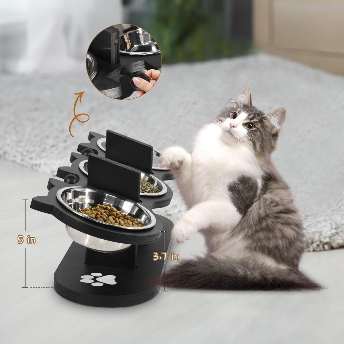 Raised Cat Bowls with 3 Stainless Steel Bowls W4373