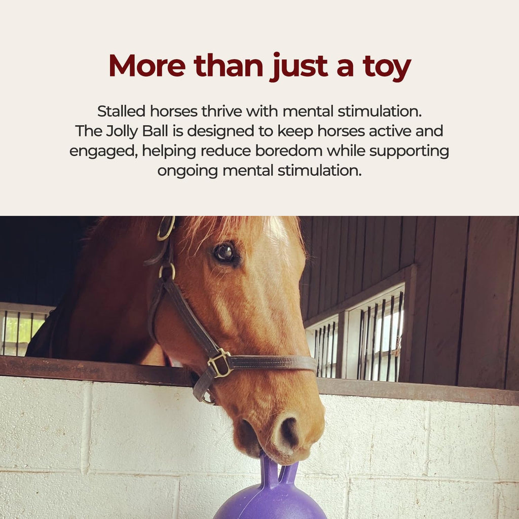 10 in Horse Toy Light Purple H49545