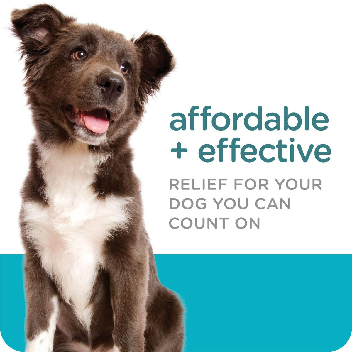 Flea & Tick Topical Dogs 7-33 lbs 3-Month E851