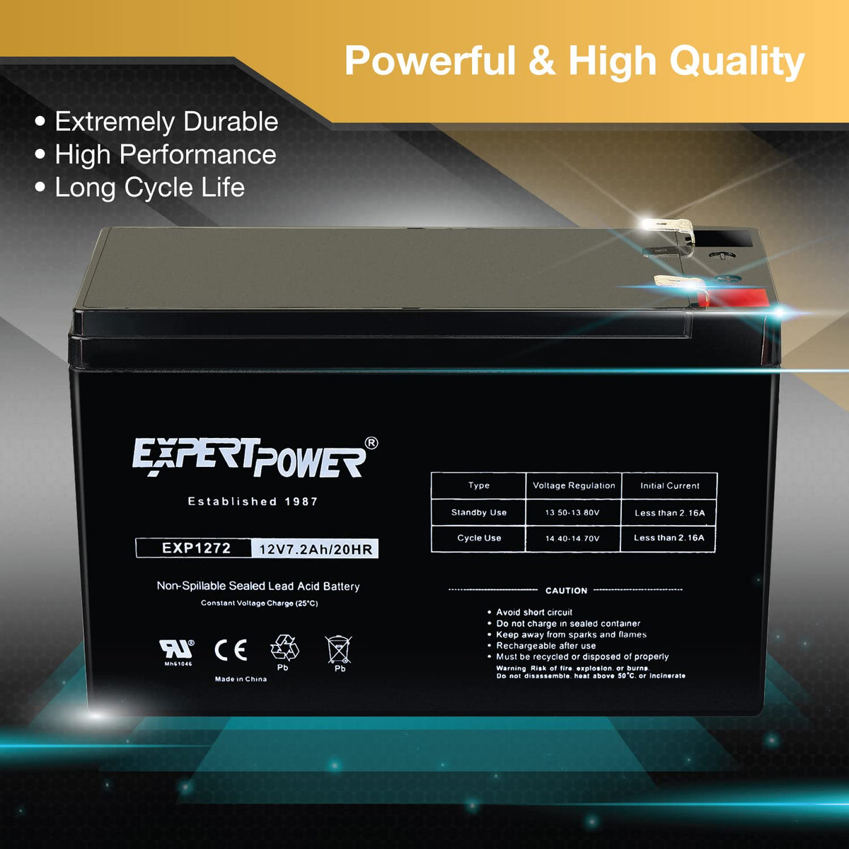 12V 7.2Ah SLA Battery with F2 Terminals X267231