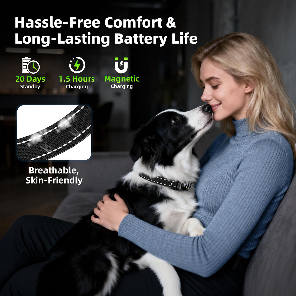 Dog Bark Collar O39902