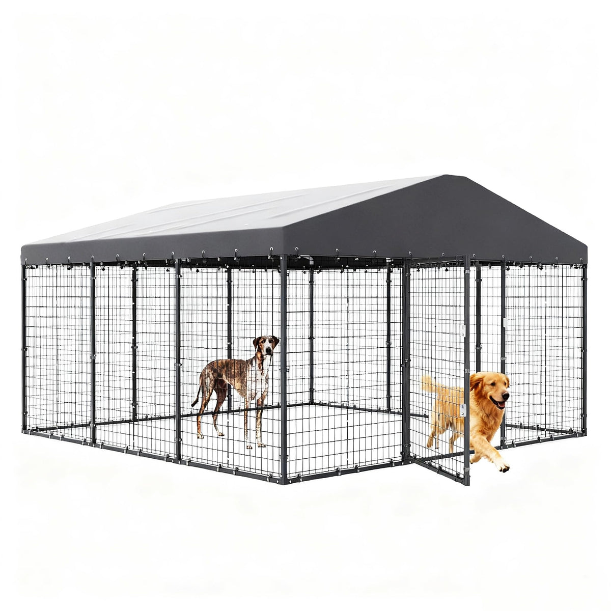 10 x 10 x 6 FT Outdoor Dog Kennel E12616