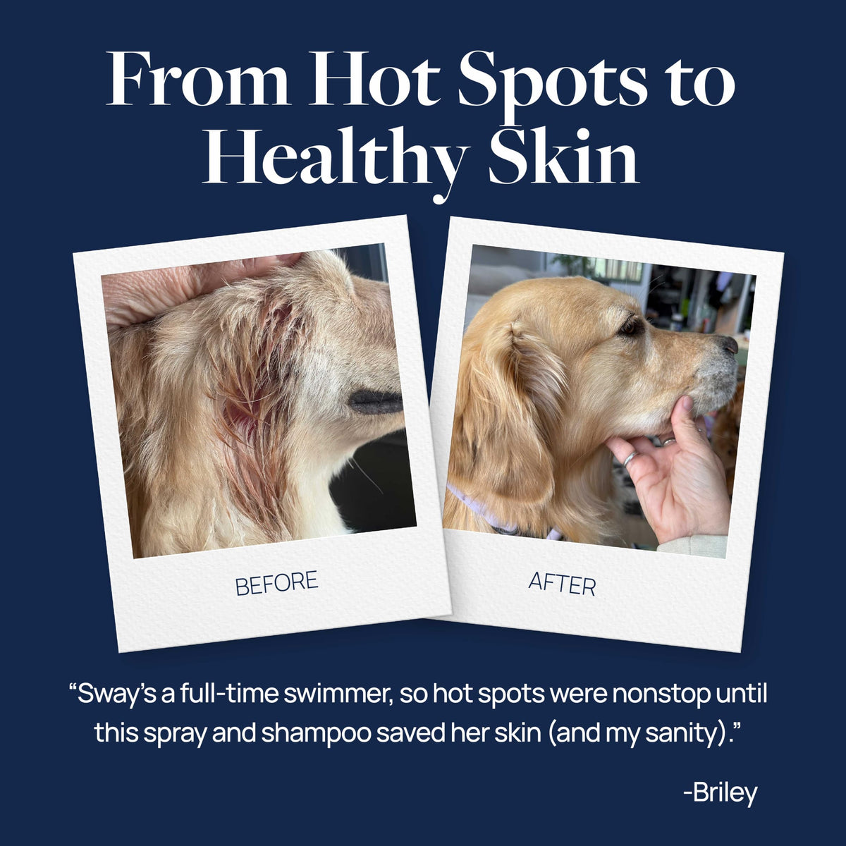 Hot Spot & Itch Relief Pet Shampoo, 16 oz G1213
