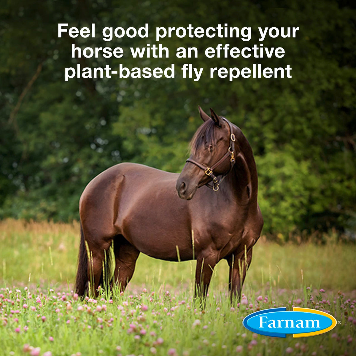 Botanical Fly Repellent 32 Ounces Spray Pack of 2 K909112