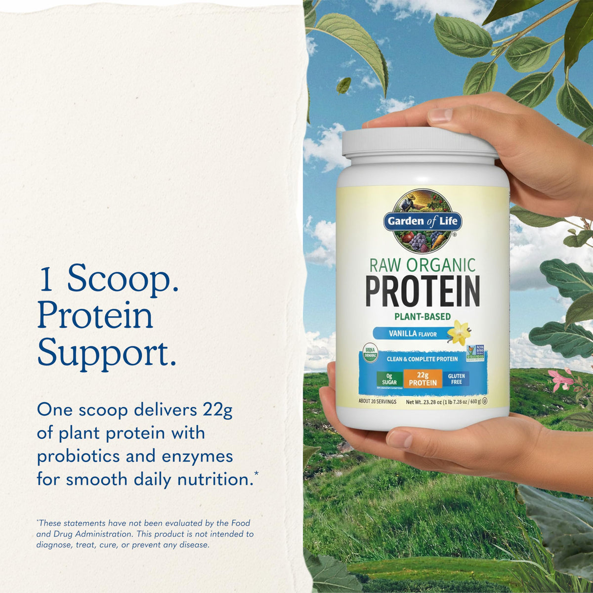 Organic Vegan Vanilla Protein Powder N856068