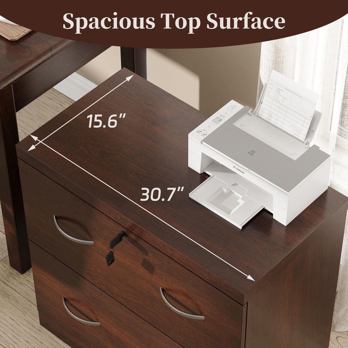 2 Drawer Wood File Cabinet with Lock T22045