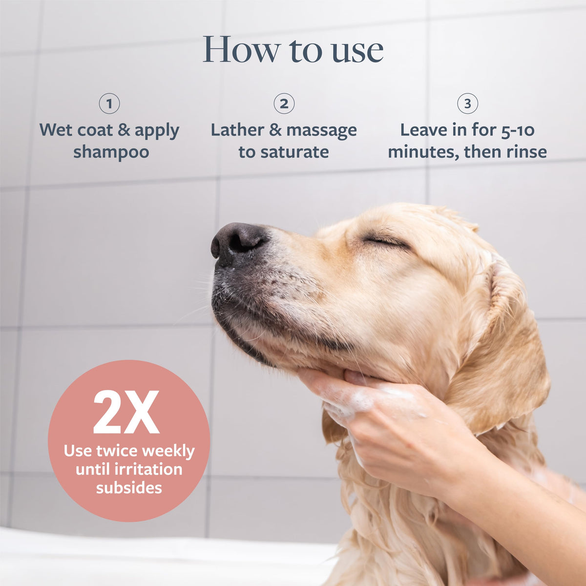 Hot Spot & Itch Relief Pet Shampoo, 16 oz G1213
