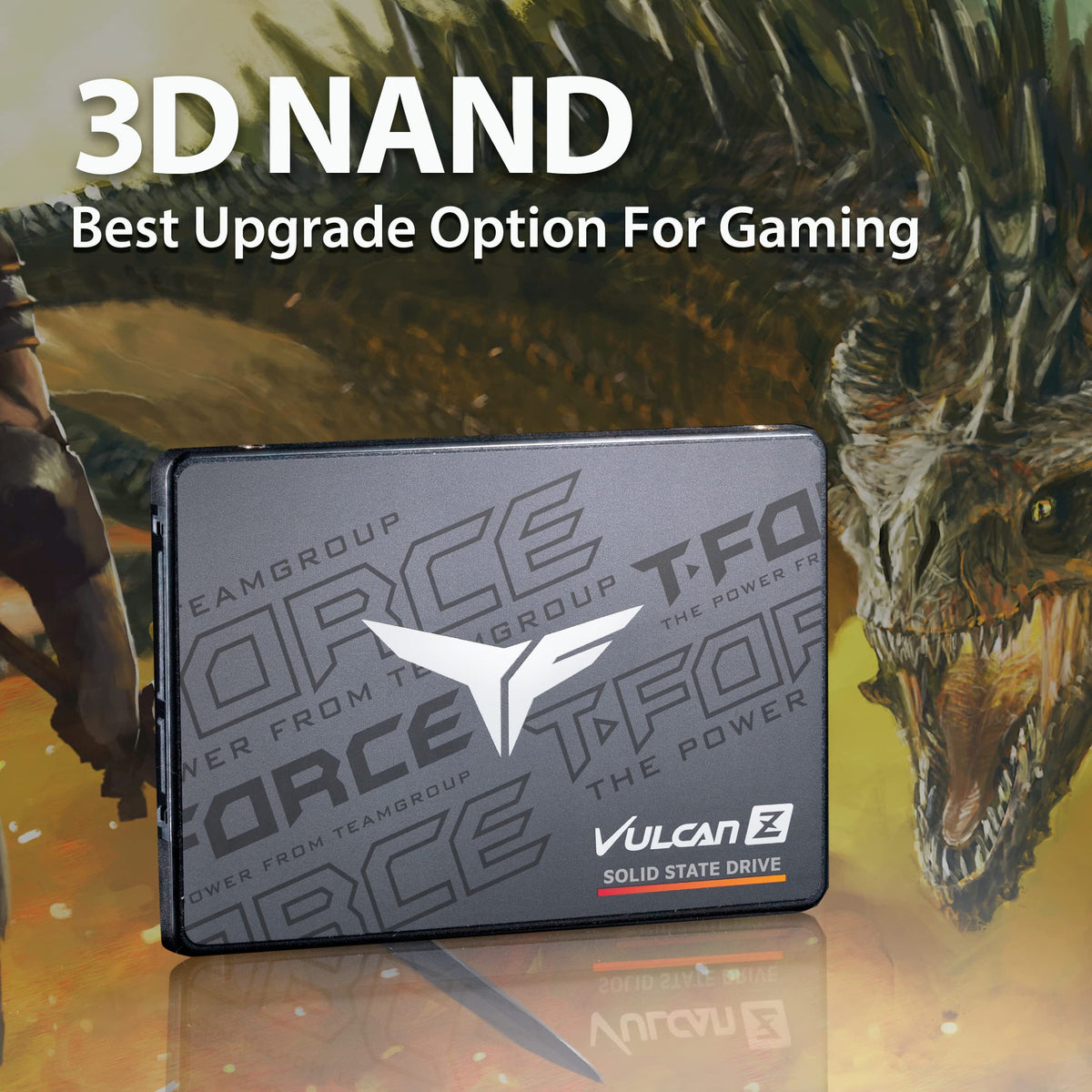 1TB 2.5 Inch SATA III Internal Solid State Drive SSD G20467