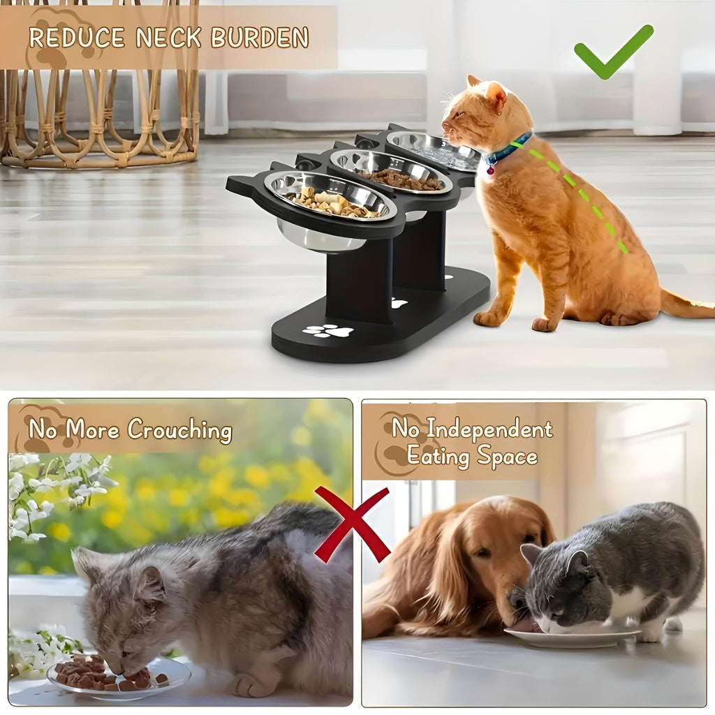 Raised Cat Bowls with 3 Stainless Steel Bowls Y808