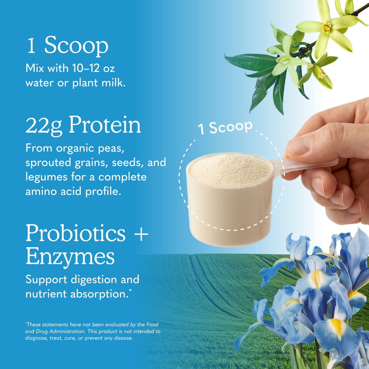 Organic Vegan Vanilla Protein Powder N856068