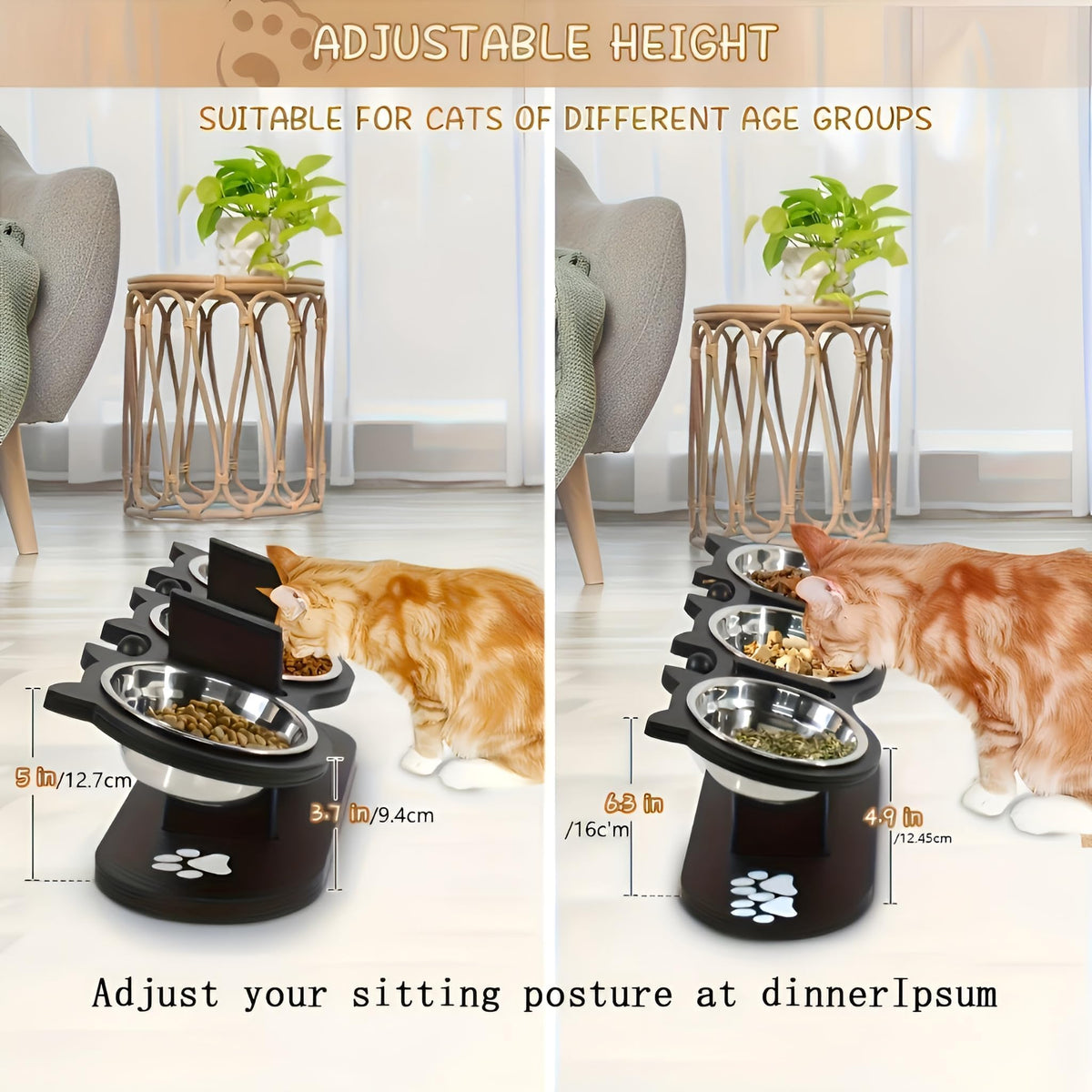 Raised Cat Bowls with 3 Stainless Steel Bowls W4373