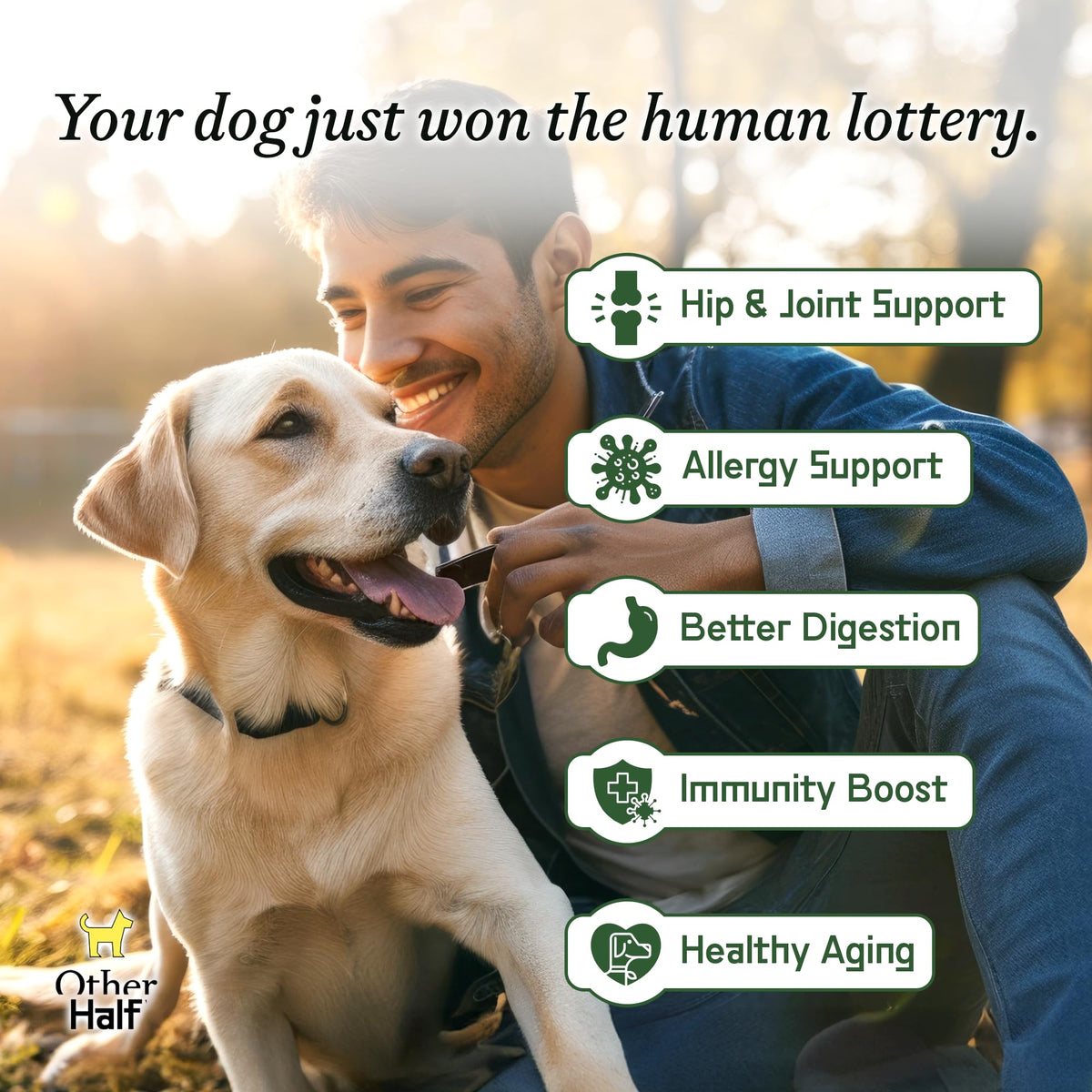 Dog Multivitamin Supplement with Glucosamine Chondroitin Omega 3 Probiotics D484380