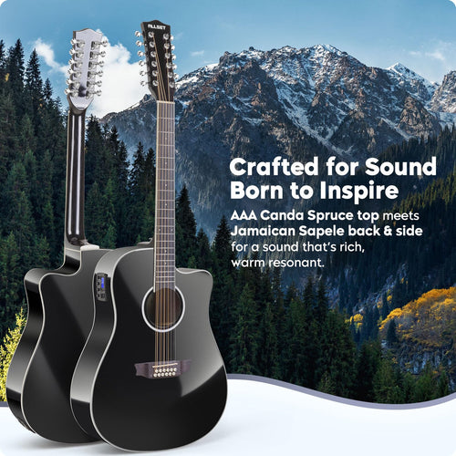 12 String Acoustic Electric Guitar G9776
