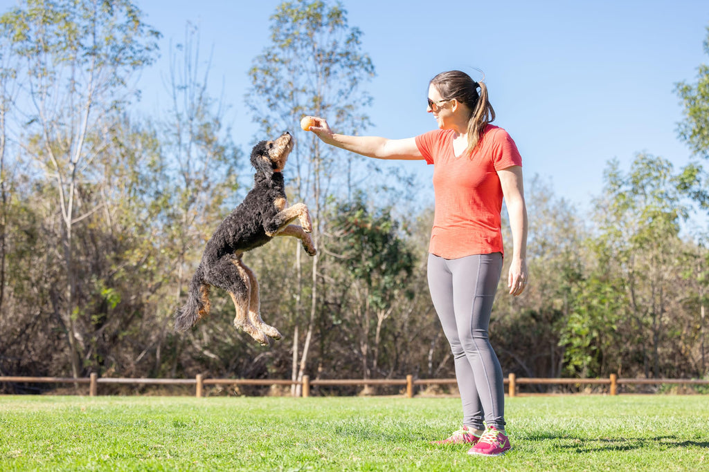 Medium Fetch Ball X438