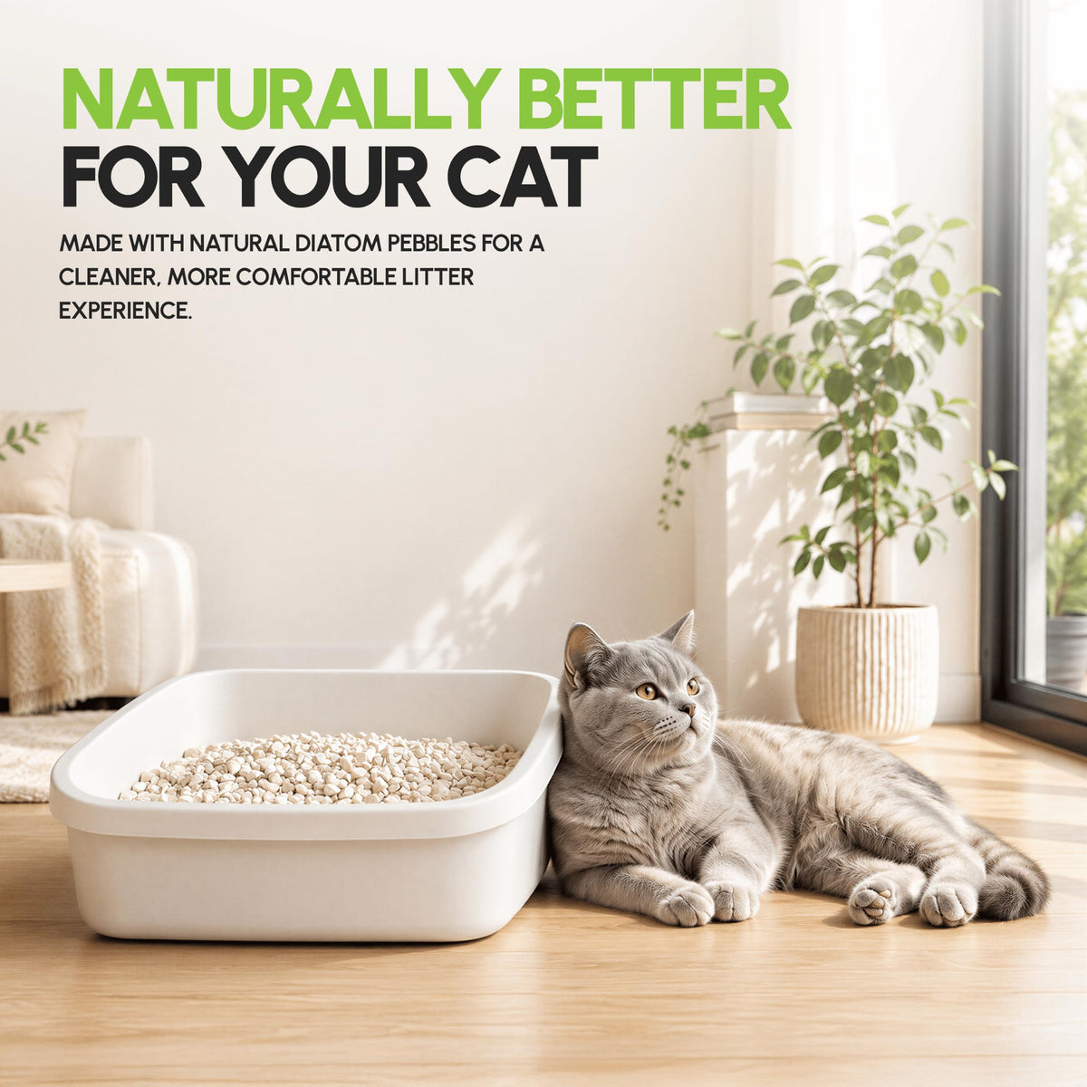 All Natural Unscented Cat Litter 8 lbs O931