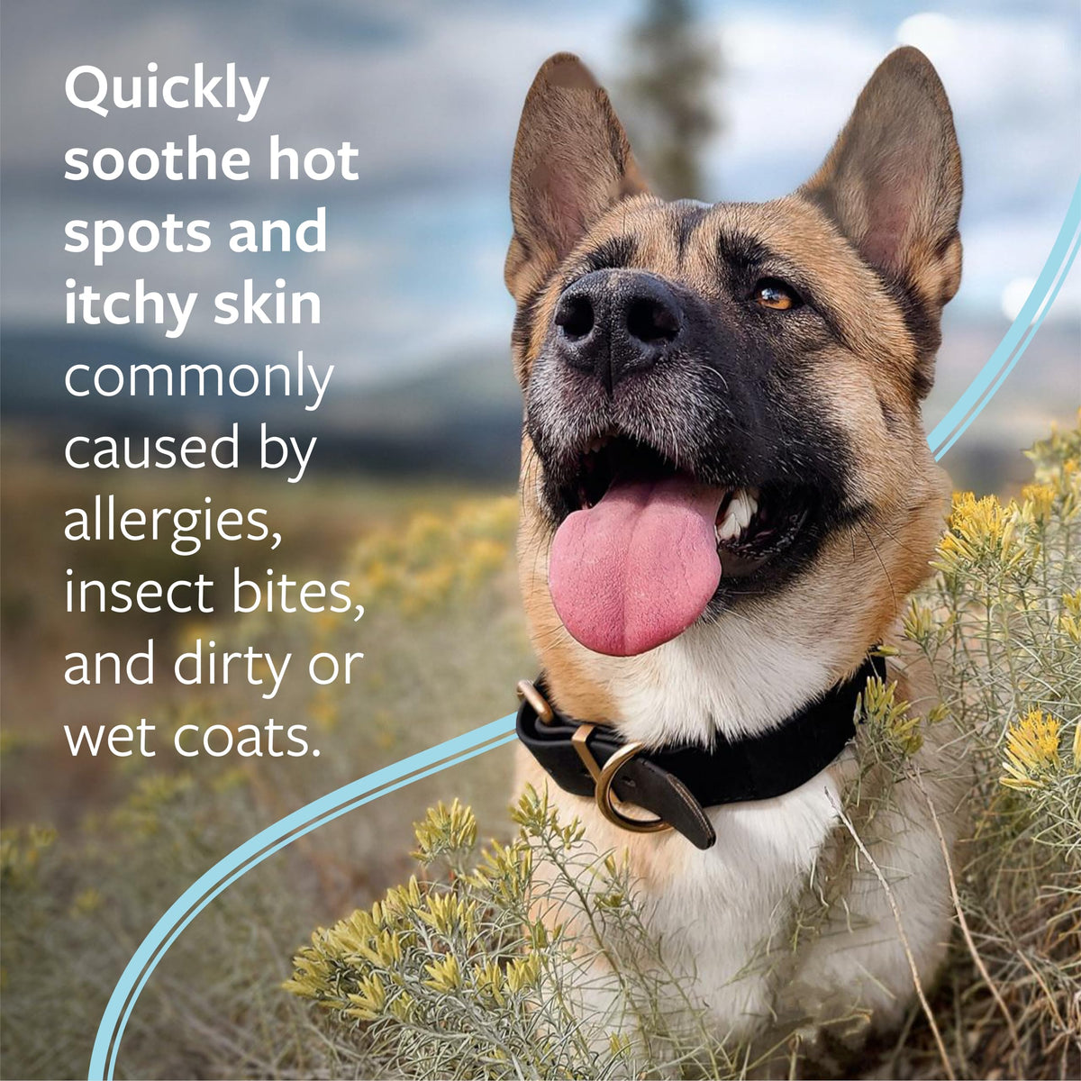 Hot Spot & Itch Relief Pet Shampoo, 16 oz G1213